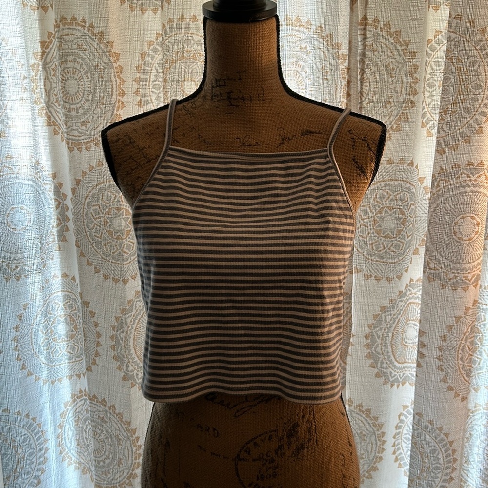 Crop top. Wild fable. XL.